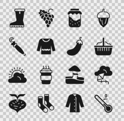 Set Meteorology thermometer, Kite, Basket, Jam jar, Sweater, Umbrella, Waterproof rubber boot and Eggplant icon. Vector