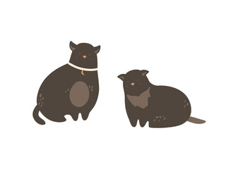 Cute black cat. Two dark kitten set for Halloween designs. Domestic animal, pretty chubby character with moon on collar. Vector isolated illustration.