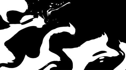 Background brush pattern. Black and white abstract painting background. Abstract brush design. Grunge texture.
