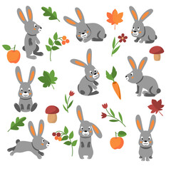 vector grey cute funny cartoon bunny little rabbit fluffy hare animal for kids design card invitation autumn fall harvest apple mushrooms flowers leaves carrot