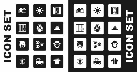 Set Waterfall, Canteen water bottle, Animal cage, Photo camera, Tree stump, Sun, Monkey and Bear head icon. Vector