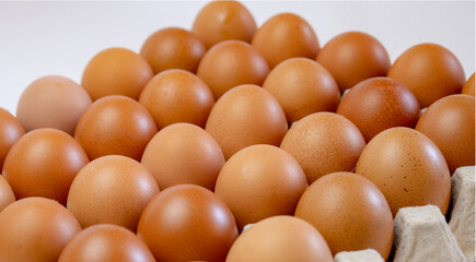 Group of fresh eggs in a wrapped tray
