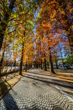 1 950 Best 街路 Images Stock Photos Vectors Adobe Stock