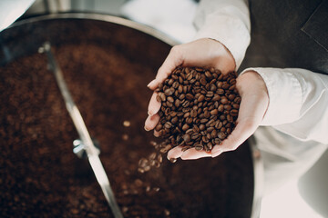 Coffee cooling in roaster machine at coffee roasting process. Young woman worker barista pours coffee beans in hands