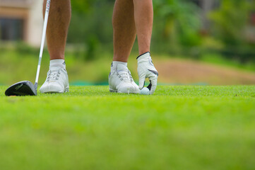 Golfer putting the ball on the green