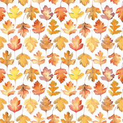 Seamless pattern of watercolor autumn hawthorn leaves along the lines