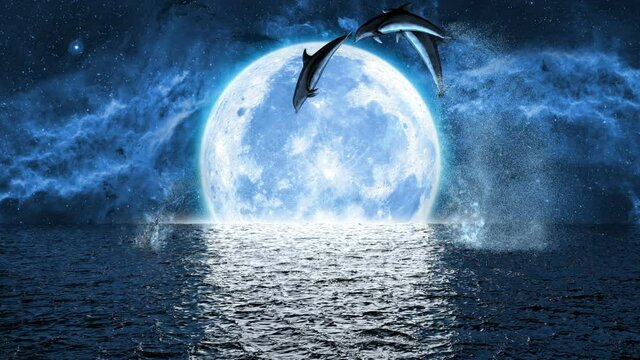 jumping dolphins on the background of the big moon, 3d animation