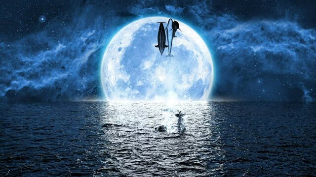 jumping dolphins on the background of the big moon, 3d animation