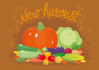 New harvest poster with fresh vegetables and leaves. Autumn background. Healthy vegetarian food, farming products. Vector illustartion, cartoon objects, banner, flyer for harvest festival, market