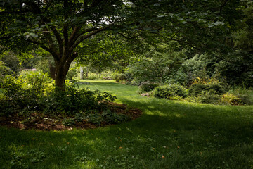 Fototapeta premium Yard