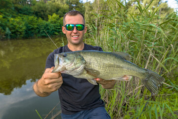 Bass fishing. Big bass fish in hands of pleased fisherman. Largemouth perch at pond - Powered by Adobe