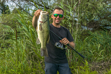 Bass fishing. Big bass fish in hands of pleased fisherman with spinning rod. Largemouth perch at...