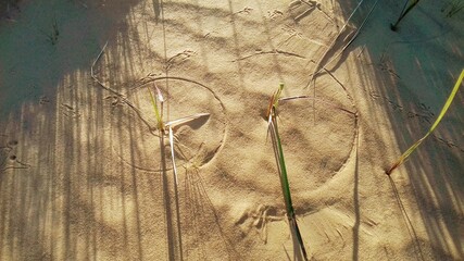 Grass compass on sand