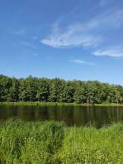 lake in the forest