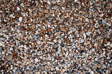 texture, shells, stones, background, foam, wave