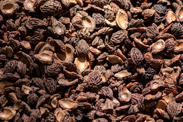 Organic background with shredded peach seeds as organic mulching and sustainable pathway  in organic gardening scenery as dry fertilizer in agricultural ecosystems and scattered wood chips close-up