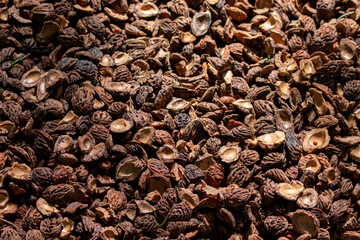 Organic background with shredded peach seeds as organic mulching and sustainable pathway  in organic gardening scenery as dry fertilizer in agricultural ecosystems and scattered wood chips close-up
