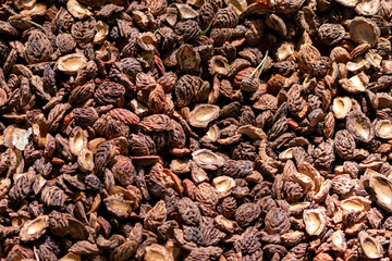 Organic background with shredded peach seeds as organic mulching and sustainable pathway  in organic gardening scenery as dry fertilizer in agricultural ecosystems and scattered wood chips close-up