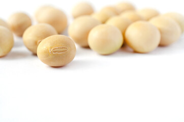 Closed up dry organic soybean seed on white background. Concept of healthy or diet food ingredient and agricultural product