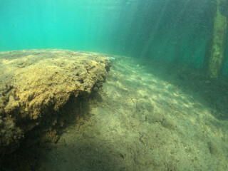 Underwater world of Mediterranean Sea. Near Marmaris, Turkey