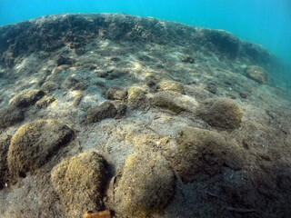 Underwater world of Mediterranean Sea. Near Marmaris, Turkey