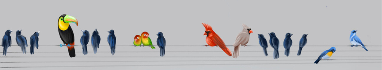 Colorful birds sitting on wire isolated on white. Hand drawn watercolor illustration.  wallpaper for prints, Art Decoration, wall arts and canvas prints