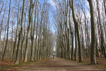 Otoño 
