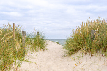 Strandweg Ostsee Sommerurlaub