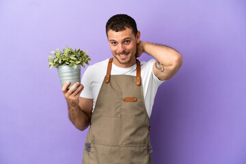 Brazilian Gardener man holding a plant over isolated purple background laughing