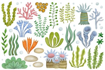 Cute watercolor set of cartoon underwater ocean seaweed.