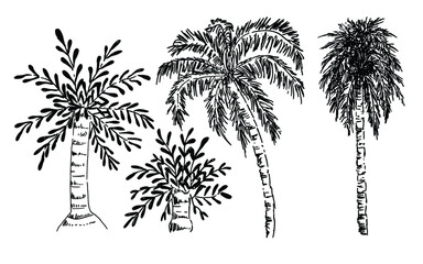 palm trees set line art