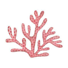 Watercolor illustration of coral isolated on white background.