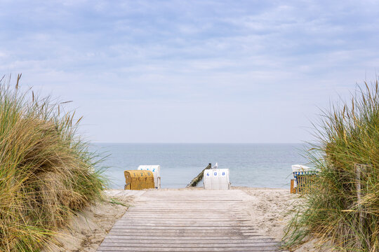 M&ouml;we auf einem Strandkorb, Ostsee