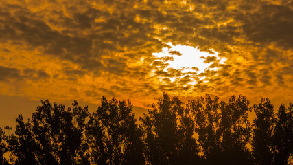 sunset in the field