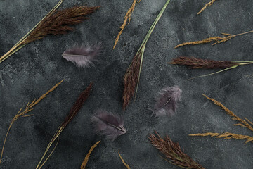Reeds foliage branches with feathers on dark background. Flat lay, top view