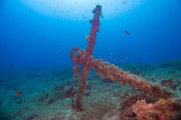 Underwater Landscape of Elba, Anchor of a wreck on the gound of the Mediterranean Sea with fish...