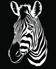Fototapeta na wymiar Zebra vector. Wild animals of the prairie, zebra head on a black background. Drawing for t-shirt
