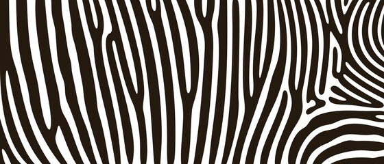 Zebra texture logo. Isolated zebra texture on white background