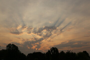 Clouds with silhouette trees in the foreground
