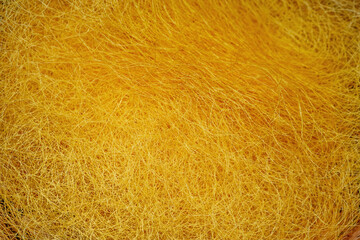 Yellow silkworm cocoon closeup macro shot