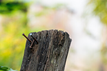Old wooden poles in the park. Been exposed to the sun for many years until decay.