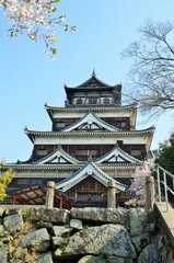 Obraz premium 広島城 天守閣
