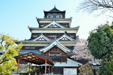 Fototapeta premium 広島城 天守閣