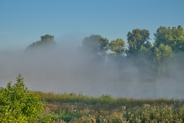 Obraz na płótnie Canvas mist on the lake