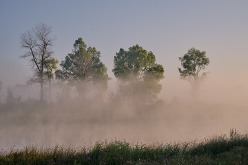 Plakat misty morning on the lake