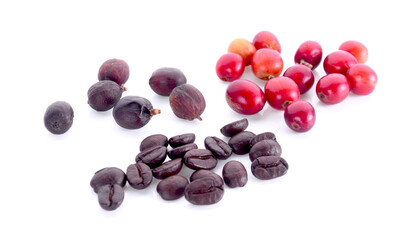coffee beans on white background.
