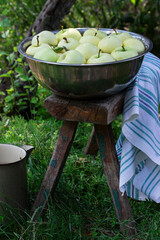 A basin with water and apples on the background of a summer garden.