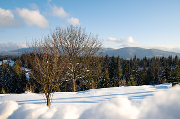 Evening in the mountains. Sunset, winter day. On the white snow the shadow. In the background a...