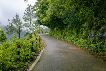 Fototapeta na wymiar Muddy hillside road with thick forest