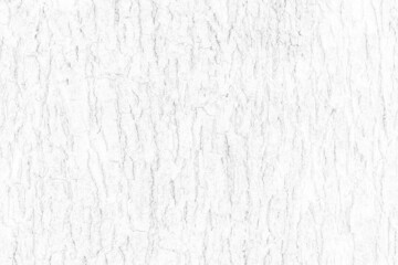 Obraz premium White wood plank texture background